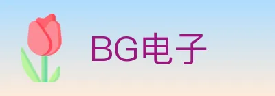 BG电子 logo